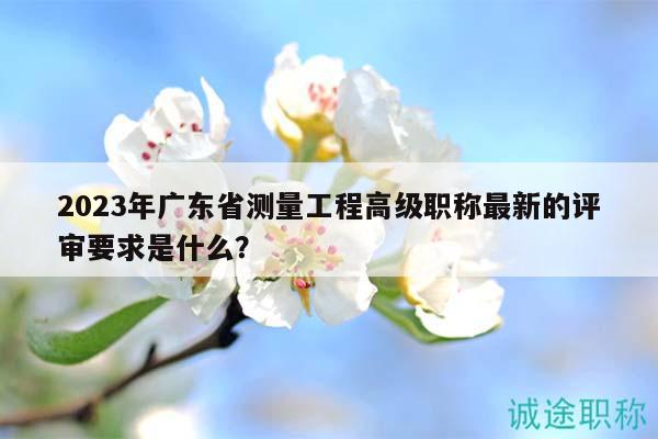 2023年广东省测量工程高级职称最新的评审要求是什么？