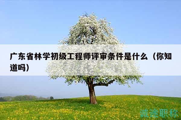广东省林学初级工程师评审条件是什么（你知道吗）