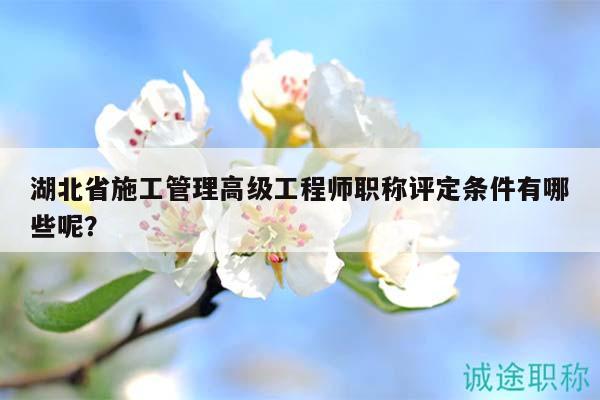 湖北省施工管理高级工程师职称评定条件有哪些呢？
