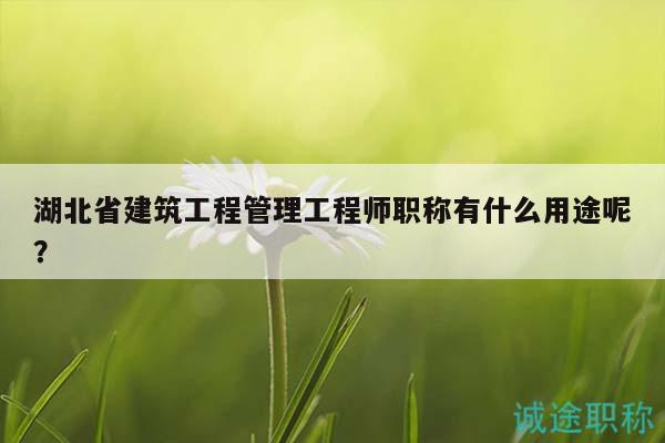湖北省建筑工程管理工程师职称有什么用途呢？