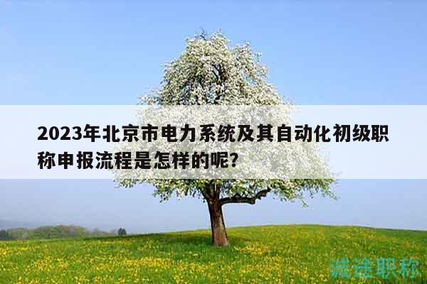 2023年北京市电力系统及其自动化初级职称申报流程是怎样的呢？