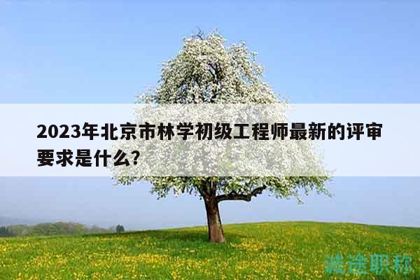 2023年北京市林学初级工程师最新的评审要求是什么？