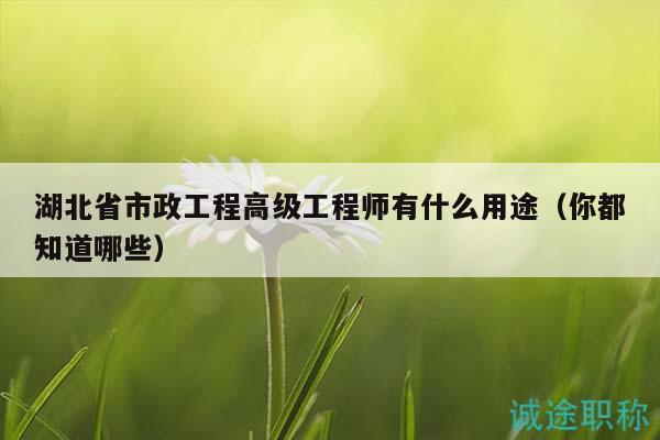 湖北省市政工程高级工程师有什么用途（你都知道哪些）