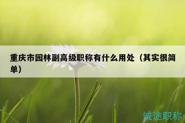 重庆市园林副高级职称有什么用处（其实很简单）