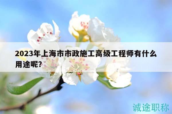 2023年上海市市政施工高级工程师有什么用途呢？
