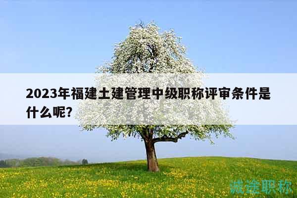 2023年福建土建管理中级职称评审条件是什么呢？