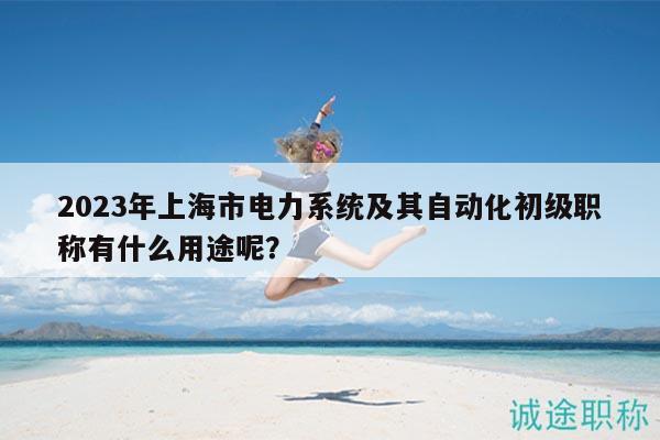 2023年上海市电力系统及其自动化初级职称有什么用途呢？