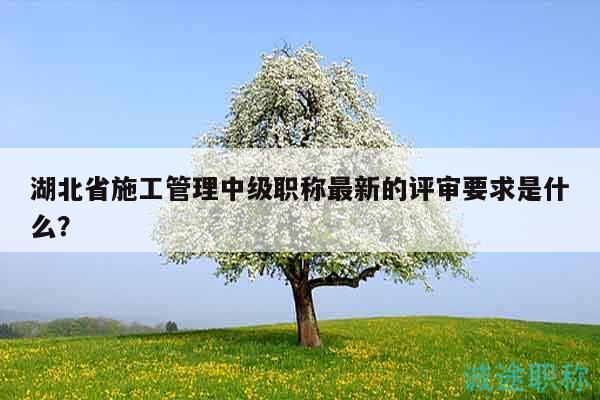 湖北省施工管理中级职称最新的评审要求是什么？