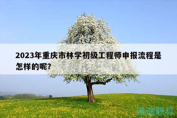 2023年重庆市林学初级工程师申报流程是怎样的呢？