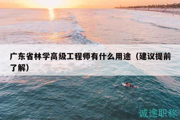 广东省林学高级工程师有什么用途（建议提前了解）
