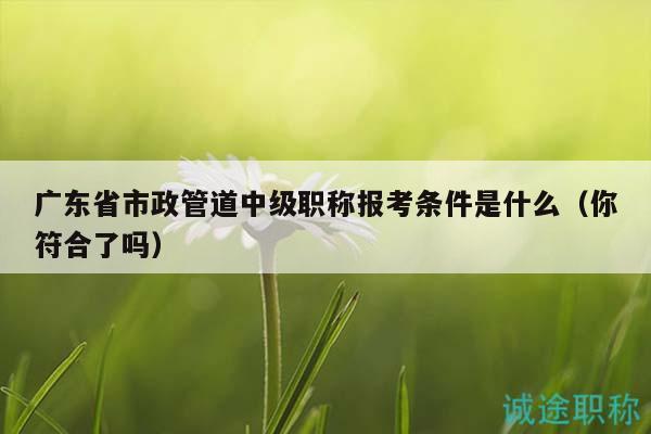 广东省市政管道中级职称报考条件是什么（你符合了吗）