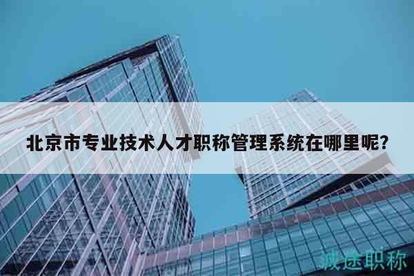 北京市专业技术人才职称管理系统在哪里呢？