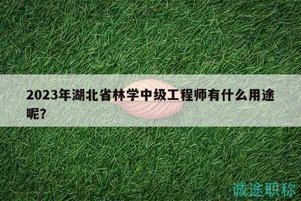 2023年湖北省林学中级工程师有什么用途呢？