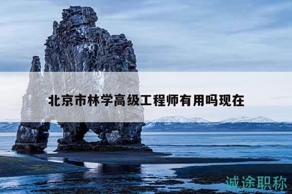 北京市林学高级工程师有用吗现在