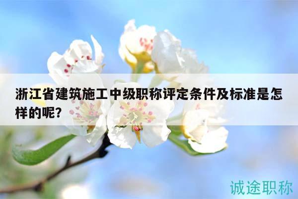 浙江省建筑施工中级职称评定条件及标准是怎样的呢？