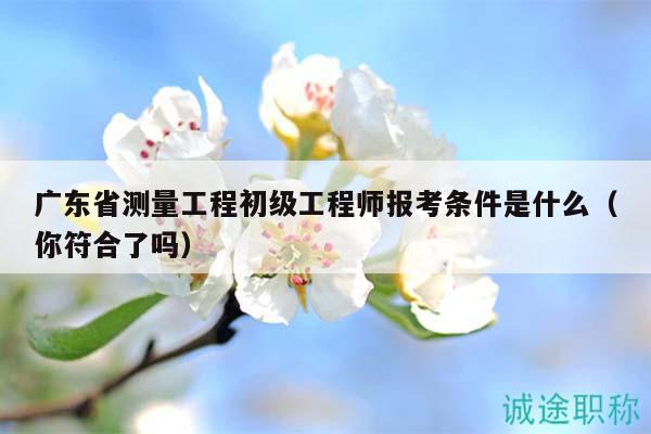 广东省测量工程初级工程师报考条件是什么（你符合了吗）
