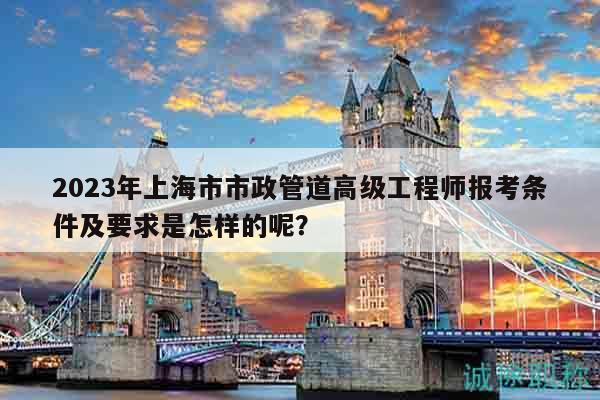 2023年上海市市政管道高级工程师报考条件及要求是怎样的呢？