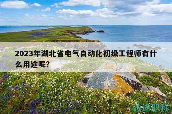 2023年湖北省电气自动化初级工程师有什么用途呢？