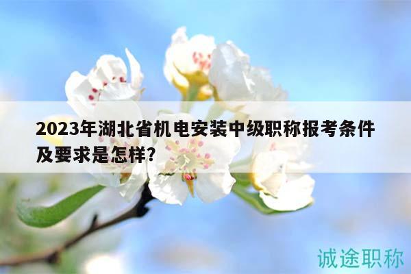 2023年湖北省机电安装中级职称报考条件及要求是怎样？