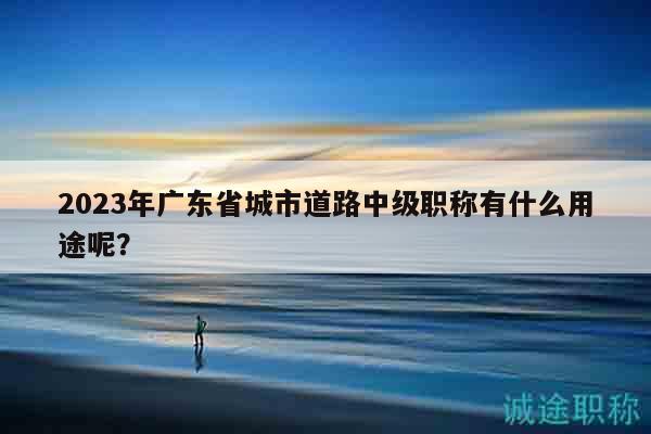 2023年广东省城市道路中级职称有什么用途呢？