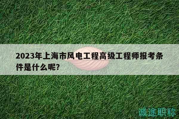 2023年上海市风电工程高级工程师报考条件是什么呢？