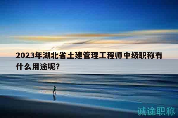 2023年湖北省土建管理工程师中级职称有什么用途呢？