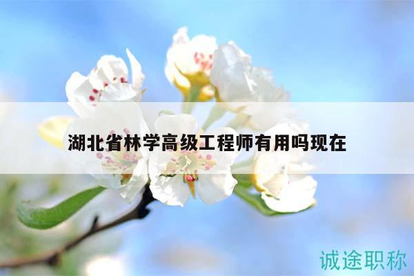 湖北省林学高级工程师有用吗现在
