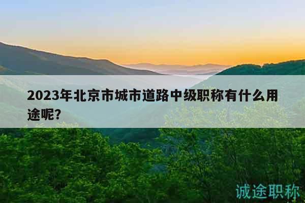 2023年北京市城市道路中级职称有什么用途呢？