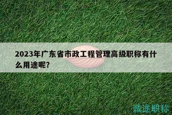 2023年广东省市政工程管理高级职称有什么用途呢？