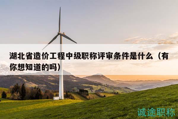 湖北省造价工程中级职称评审条件是什么（有你想知道的吗）