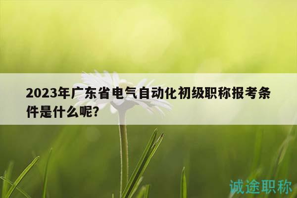 2023年广东省电气自动化初级职称报考条件是什么呢？
