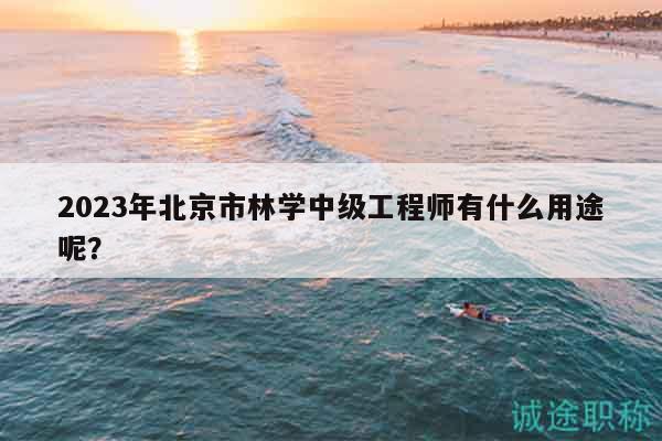 2023年北京市林学中级工程师有什么用途呢？