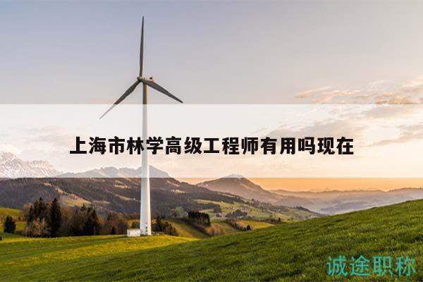 上海市林学高级工程师有用吗现在