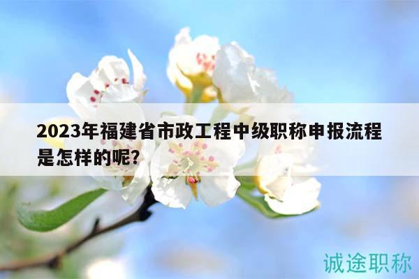 2023年福建省市政工程中级职称申报流程是怎样的呢？