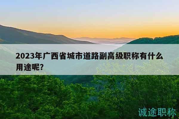 2023年广西省城市道路副高级职称有什么用途呢？