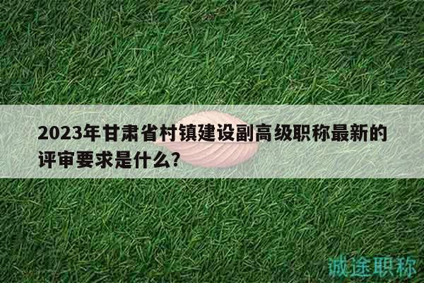 2023年甘肃省村镇建设副高级职称最新的评审要求是什么？