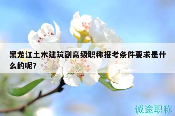 黑龙江土木建筑副高级职称报考条件要求是什么的呢？