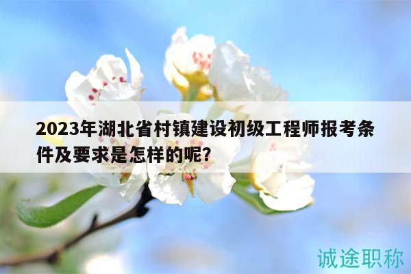 2023年湖北省村镇建设初级工程师报考条件及要求是怎样的呢？