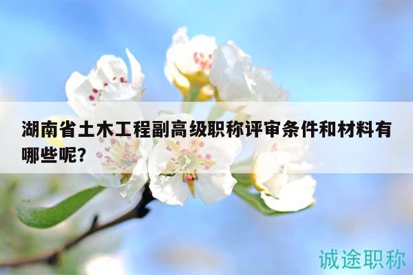 湖南省土木工程副高级职称评审条件和材料有哪些呢？