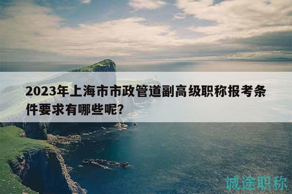 2023年上海市市政管道副高级职称报考条件要求有哪些呢？