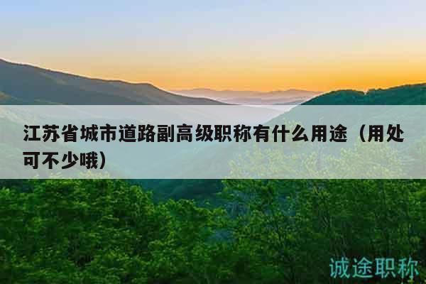 江苏省城市道路副高级职称有什么用途（用处可不少哦）