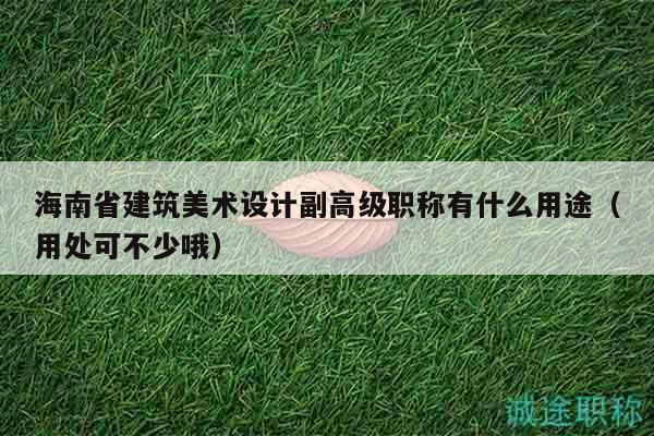海南省建筑美术设计副高级职称有什么用途（用处可不少哦）