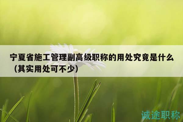 宁夏省施工管理副高级职称的用处究竟是什么（其实用处可不少）