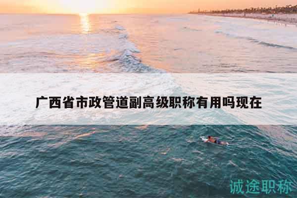 广西省市政管道副高级职称有用吗现在