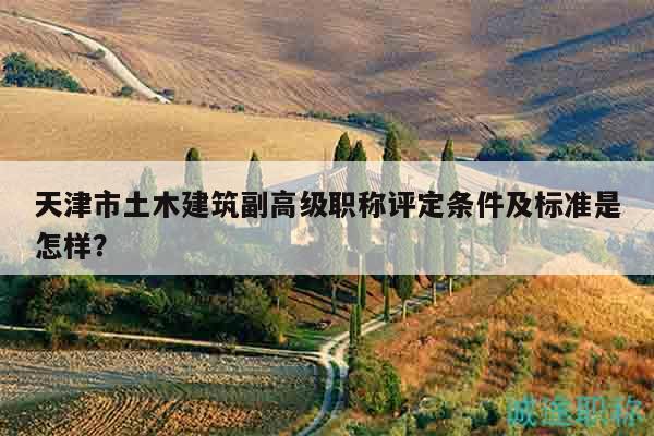 天津市土木建筑副高级职称评定条件及标准是怎样？