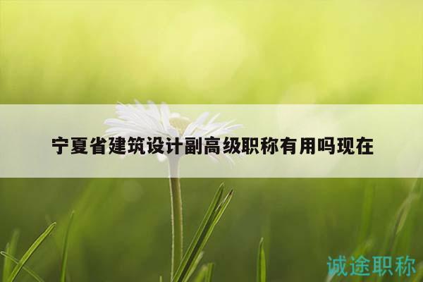 宁夏省建筑设计副高级职称有用吗现在