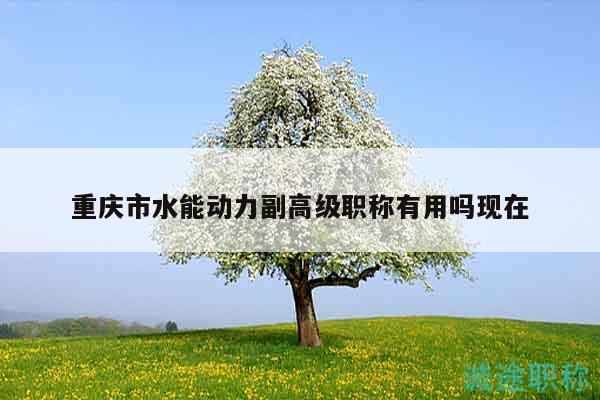 重庆市水能动力副高级职称有用吗现在