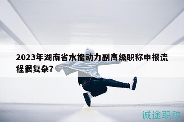 2023年湖南省水能动力副高级职称申报流程很复杂？