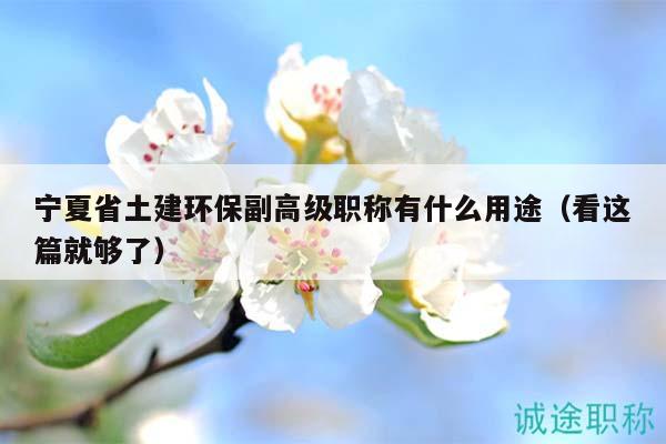 宁夏省土建环保副高级职称有什么用途（看这篇就够了）