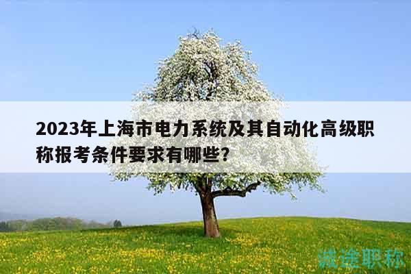 2023年上海市电力系统及其自动化高级职称报考条件要求有哪些？